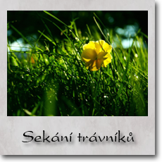 Sekání trávníků
