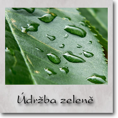 Údržba zeleně
